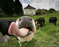 7010 Slurp Chris Gilbert, Ravenseye Gallery, Peak District, Photographs, Courses